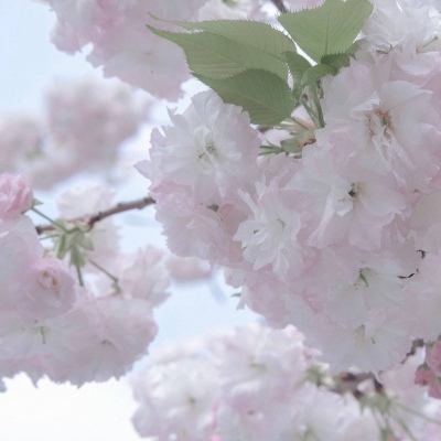 Furry插画构图解析干货Furry群